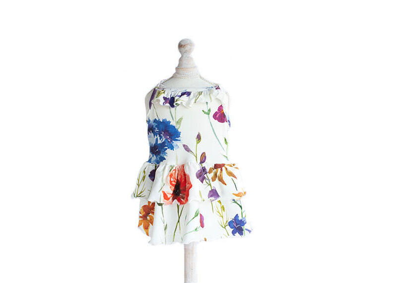 rochite catei hainute pentru catei hainute catei bichon hainute catei talie mica haine pisici haine pentru pisici haine de pisici haine pentru caini haine caini haine de caini haine catei haine de catei