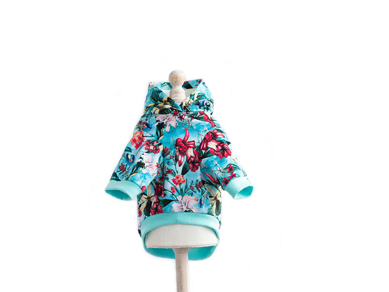 haine caini hanorac caine hanorac catei